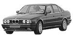 BMW E34 P1250 Fault Code