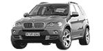 BMW E70 P1250 Fault Code
