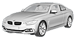 BMW F32 P1250 Fault Code